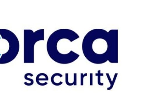 Orca 600x600